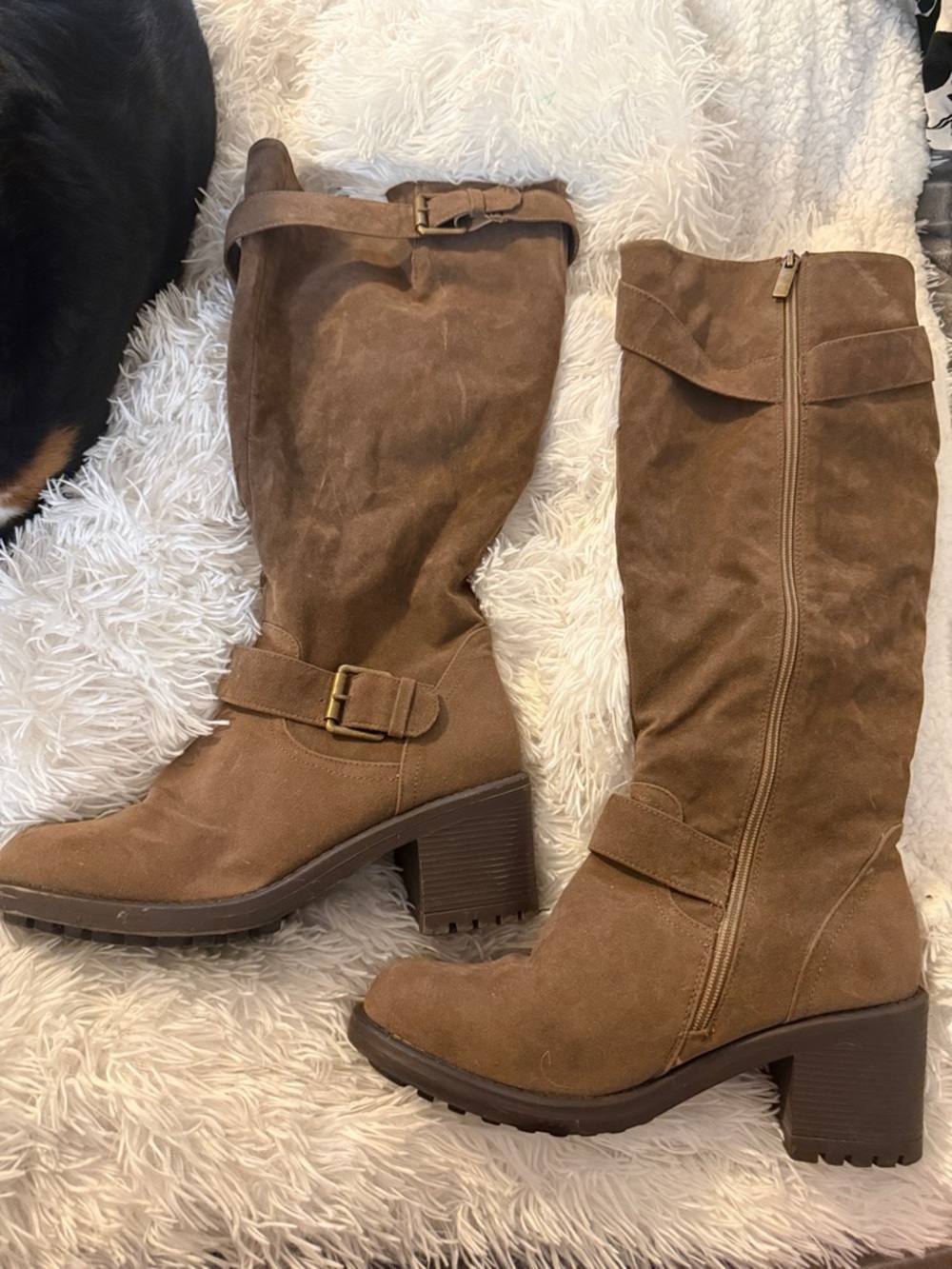 torrid Brown Suede Mid-Calf Block Heel Buckle Boots